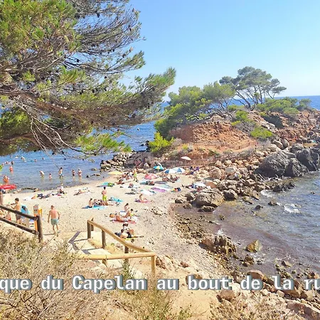 Maison 3 Avec Piscine A 5 Min A Pied De La Semesterbostad Bandol